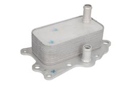 RADIATOR ULEI / TERMOFLOT THERMOTEC D40001TT - Compatibil cu CHEVROLET, OPEL, VAUXHALL