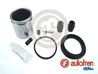 Set reparatie etrier AUTOFREN SEINSA D41053C