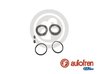 Set reparatie etrier AUTOFREN SEINSA D4109