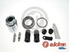 Set reparatie etrier AUTOFREN SEINSA D42113C