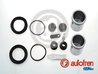 Set reparatie etrier AUTOFREN SEINSA D42114C