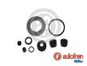 Set reparatie etrier AUTOFREN SEINSA D42193