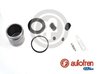 Set reparatie etrier AUTOFREN SEINSA D42227C