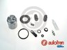 Set reparatie etrier AUTOFREN SEINSA D42499C