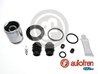 Set reparatie etrier AUTOFREN SEINSA D43108K