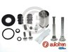 SET REPARATIE ETRIER AUTOFREN SEINSA D43473S - Compatibil cu ABARTH, FIAT, IVECO, OPEL, TOYOTA, VAUXHALL