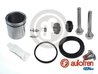 Set reparatie etrier AUTOFREN SEINSA D43530S