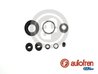 Set reparatie etrier AUTOFREN SEINSA D4446