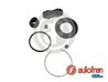Set reparatie etrier AUTOFREN SEINSA D4553