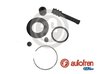 Set reparatie etrier AUTOFREN SEINSA D4555