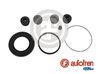 Set reparatie etrier AUTOFREN SEINSA D4666