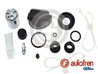 Set reparatie etrier AUTOFREN SEINSA D4962C