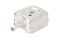 RADIATOR ULEI / TERMOFLOT THERMOTEC D4A001TT - Compatibil cu AUDI, FORD, SEAT, SKODA, VOLVO, VW