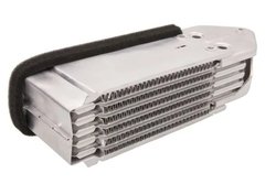 RADIATOR ULEI / TERMOFLOT THERMOTEC D4A003TT - Compatibil cu AUDI, VW