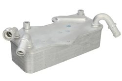 RADIATOR ULEI / TERMOFLOT THERMOTEC D4A022TT - Compatibil cu AUDI
