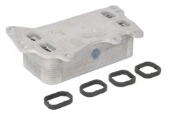 RADIATOR ULEI / TERMOFLOT THERMOTEC D4B015TT - Compatibil cu BMW, PEUGEOT