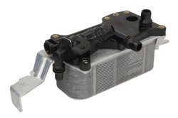 Radiator racire ulei cutie viteze automata Thermotec D4B026T