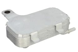 RADIATOR ULEI / TERMOFLOT THERMOTEC D4I013TT - Compatibil cu LAND ROVER