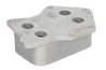 Radiator ulei / termoflot Thermotec D4M018TT