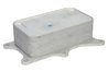 RADIATOR ULEI / TERMOFLOT THERMOTEC D4M021TT - Compatibil cu MERCEDES-BENZ