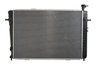 Radiator racire motor Thermotec D70308TT