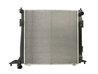 Radiator racire motor Thermotec D70312TT
