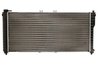Radiator racire motor Thermotec D73003TT