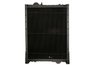 RADIATOR RACIRE MOTOR THERMOTEC D7AG093TT - Piesa auto compatibila cu mai multe marci