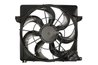 VENTILATOR RADIATOR RACIRE THERMOTEC D80302TT - Compatibil cu KIA