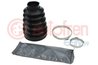 Ansamblu burduf articulatie planetara AUTOFREN SEINSA D8440T
