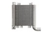 Intercooler Thermotec DA05003TT