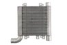 Intercooler Thermotec DA05003TT