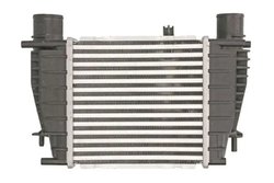 Intercooler Thermotec DA1003TT