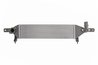 Intercooler Thermotec DA1004TT