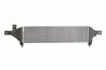 Intercooler Thermotec DA1004TT