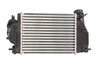 Intercooler Thermotec DA1005TT