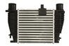 Intercooler Thermotec DA1008TT