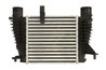 Intercooler Thermotec DA1008TT