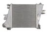 Intercooler Thermotec DA1011TT
