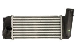 Intercooler Thermotec DA2007TT