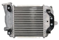 Intercooler Thermotec DA3005TT