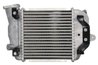 Intercooler Thermotec DA3005TT