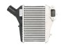 Intercooler Thermotec DA4004TT