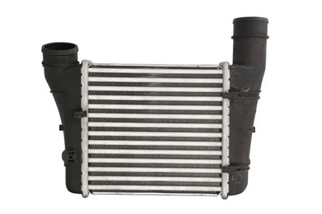 Intercooler Thermotec DAA001TT