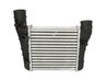 INTERCOOLER THERMOTEC DAA003TT - Compatibil cu AUDI