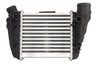 INTERCOOLER THERMOTEC DAA002TT - Compatibil cu AUDI