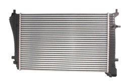 Intercooler Thermotec DAA010TT