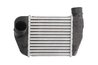 INTERCOOLER THERMOTEC DAA013TT - Compatibil cu AUDI