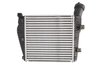 Intercooler Thermotec DAA014TT