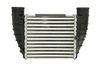 Intercooler Thermotec DAA016TT